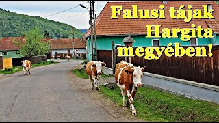 Ilyen igazi autentikus helyet, falusi légkört mint a Kászonok, már nem találunk máshol Székelyföldön