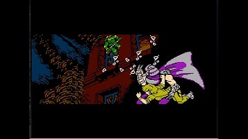 Teenage Mutant Ninja Turtles II: The Arcade Game (NES) - Longplay