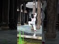 女孩练习古拳法 一招一式 干净利索 张弛有度 一见爱上传统文化 武术我来露两手 莆田黄岩武术 来源于网络 Kungfu Shorts 女孩练习古拳法 一招一式 干净利索 张弛有度 一见爱上传统文化 武术我来露两手 莆田黄岩武术 来源于网络 Kungfu Shorts