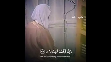 تلاوة هادئة للشيخ محمد أيوب رحمه الله