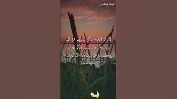 ما تيسر من سورة ،البقرة