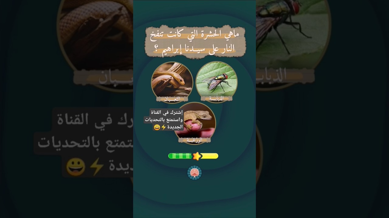 أقوى مسابقة عن الحيوانات 🐄🐳 سؤال وجواب⚡