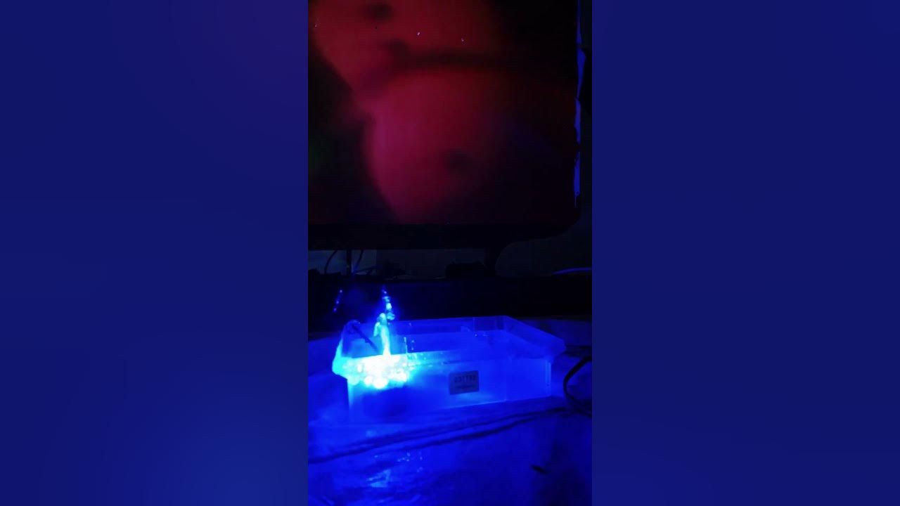Does Ice help? Timelapse YouTube