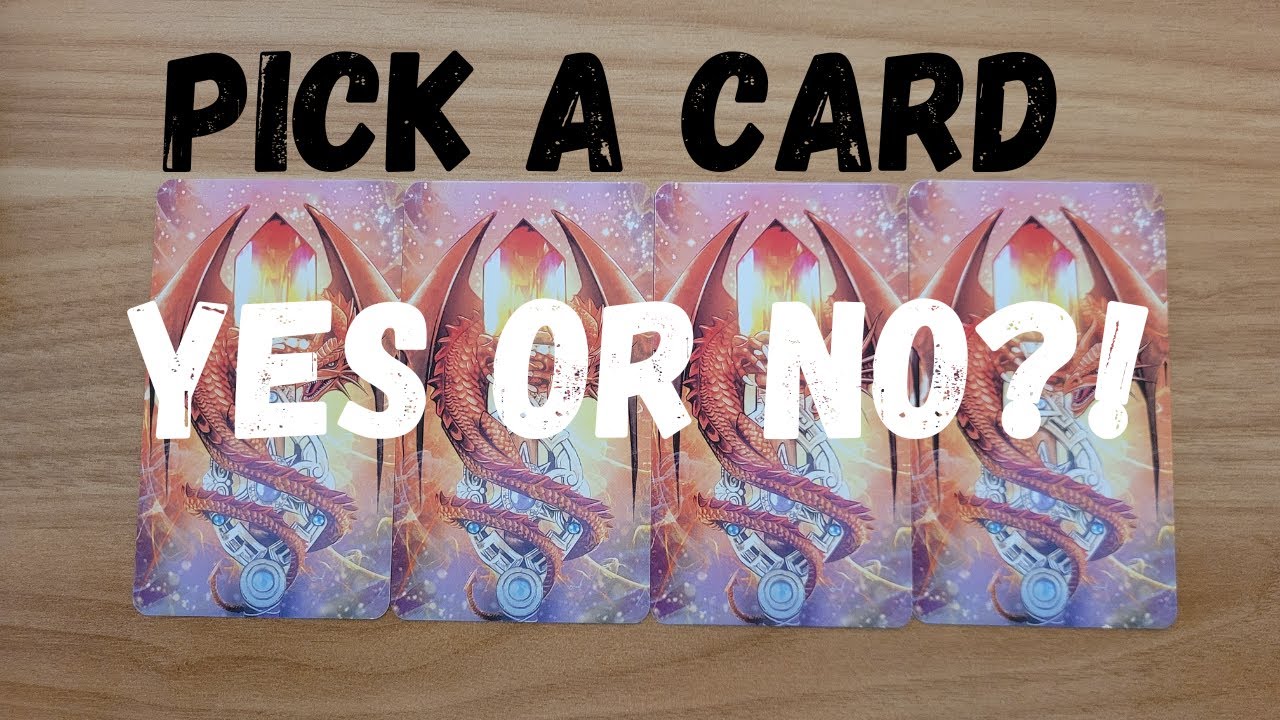 🐦 pick a card yes or no?! 🐦 YouTube