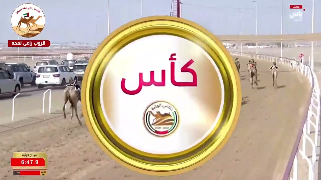 ش 3 ( كأس الايذاع مهجنات انتاج )العندل لـ علي سالم علي متعب الصعاق 8:57:61(  ختامي الوثبة 2026 )