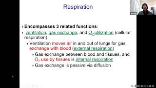 Chapter 16   Respiratory Physiology Part 1
