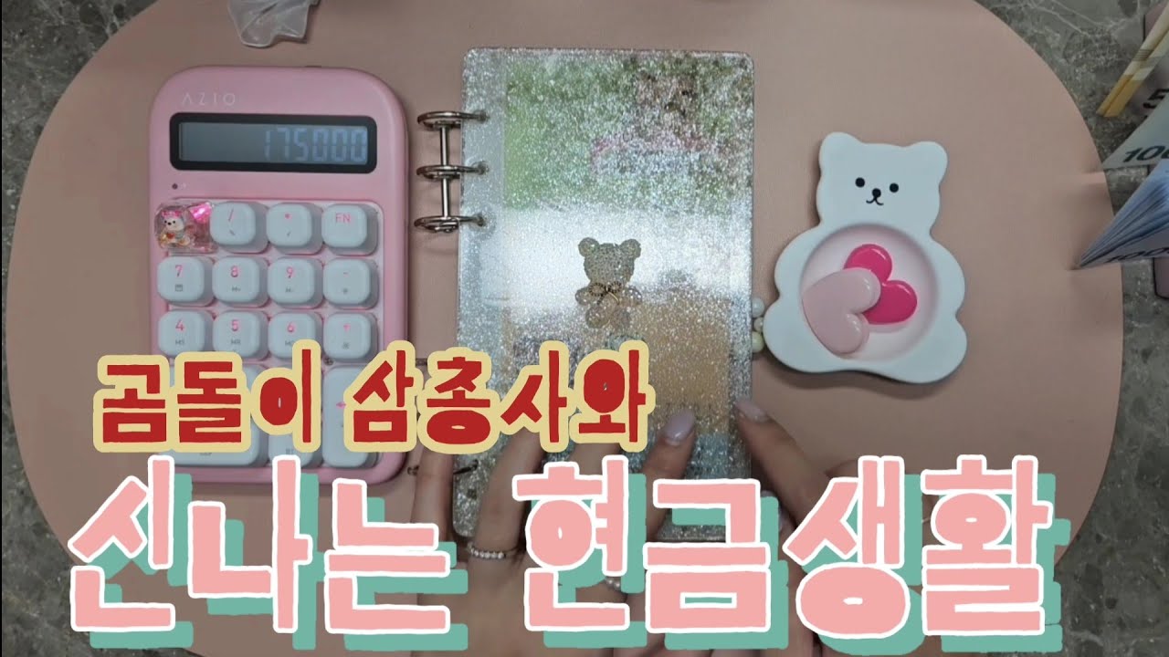 [#95 👨‍👩‍👧‍👦4인가구 현금생활💸] 26년 1월 2주차 정산 , 3주차 예산 | 25년먼슬리저축완료🥰 | 