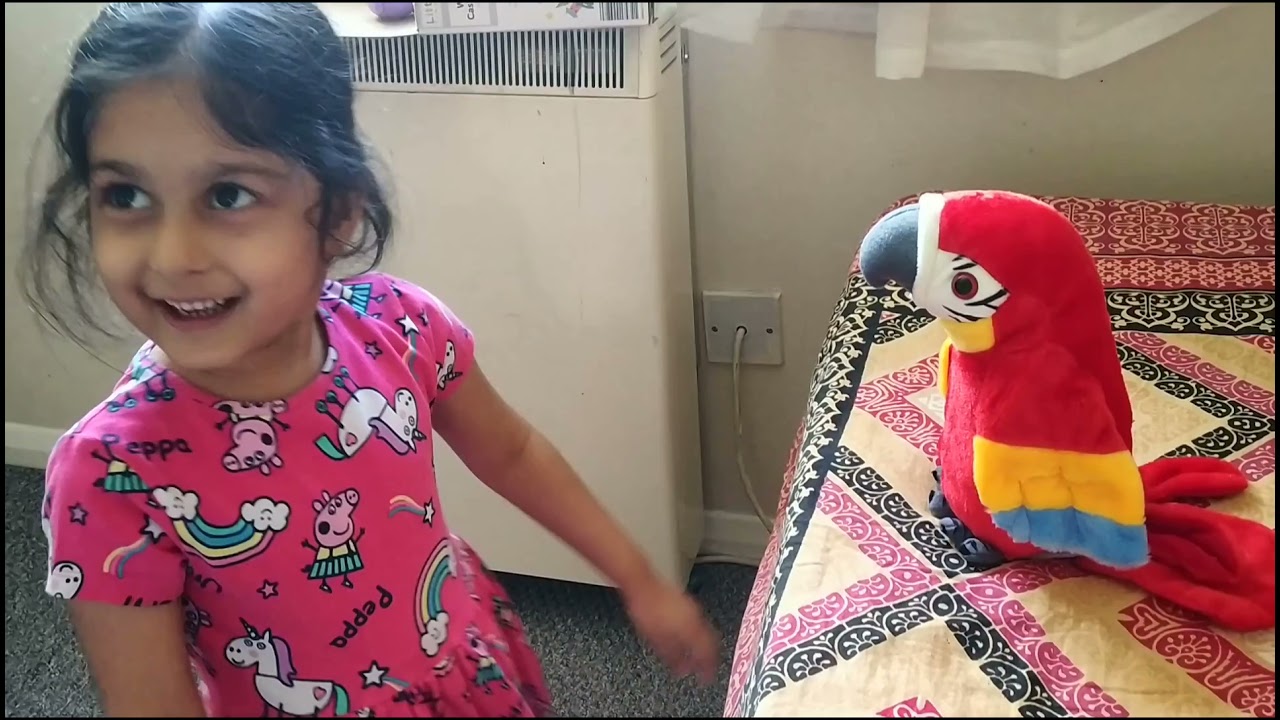 talking parrot toy