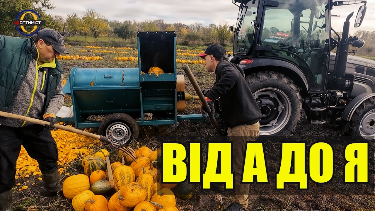 Як заробляються легкі гроші на гарбузах? | Повний процес від поля до насіння