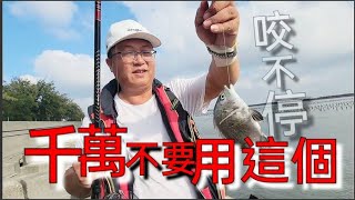 千萬不要用這個，免得你會拉到不想拉  Fishing  台湾の釣り 낚시 câucá