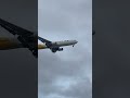Coming in for landing 🛬