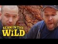 Sean Evans Eats L.A.'s Spiciest Fried Chicken with Brian Redban | Sean in the Wild