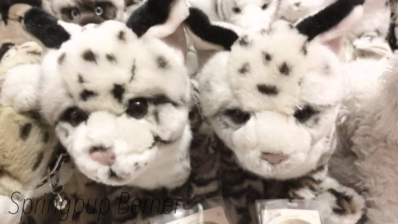 camera iphone 8 plus apk Webkinz Signature Collection 7/7/15
