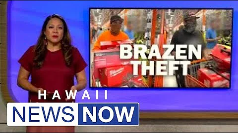 Viral video captures bold thieves filling carts at Hawaii store and simply walking out the door