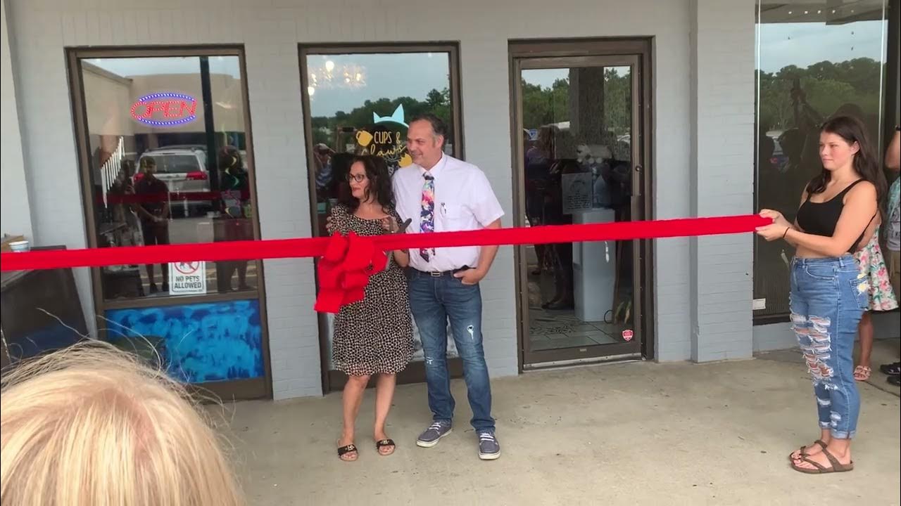 Soft Opening of Cups & Claws cat cafe in Newport NewsVA YouTube