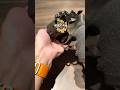 Always be competent SWAT 8 shot wheel gun by TANAKA SW M327 R8 #replica #asmr #airsoft
