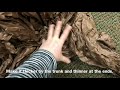 How to Make a Tree Stump for Stage