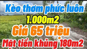 Kẹt tiền bán gấp đất ruộng mặt tiền khủng 180m2 điện nước đầy đủ giá 65 triệu/1000m2 kiên Giang củ 