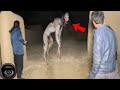 Creepy Creature Found During An Exploration - 7 Videos Of Extreme Horror