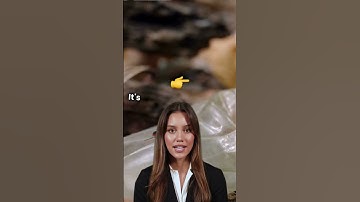 Did you know? #youtube #youtubeshorts #vlog