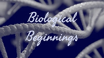 Chapter 2 - Biological Beginnings  - Part B