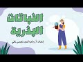 خصائص النباتات البذرية