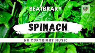 Free Music for Spinach Recipes | Intensity by Lesion X [No Copyright Music]