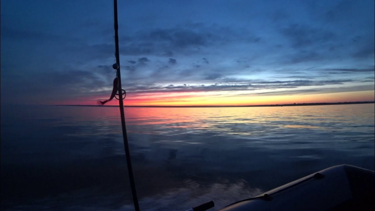 лютый #жор судака 🎣🐋на одной проводке три поклевки нашел на трёх метрах,вот это выход такое впервые