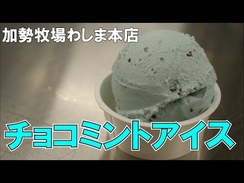 チョコミント fit=scale-down,w=1200