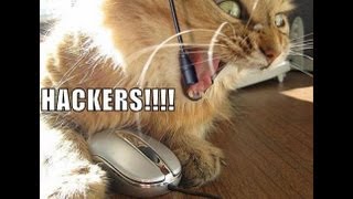Cheaters Hackers Tears Oh My.