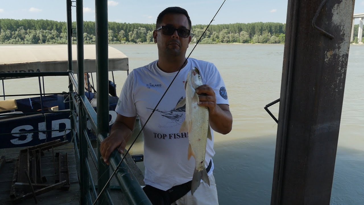 32. Destinacija Beška