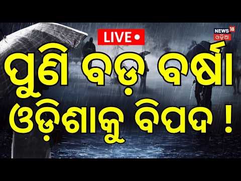 Odisha Heavy Rain Alert  Live | Weather Update | Odia News | Rain In Odisha | Rain News | Odia News