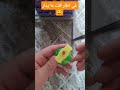 في اطار قلت ميدار اكسبلور رمله ضحك Funny دويتو معلومات الجيلي في اطار قلت ميدار اكسبلور رمله ضحك Funny دويتو معلومات الجيلي