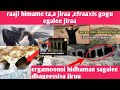 Raaji Himame Ta A Jiraa Efraaxis Gogu Egalee Jiraa Ergamoonni Hidhaman Sagalee Dhageessisa Jiruu Raaji Himame Ta A Jiraa Efraaxis Gogu Egalee Jiraa Ergamoonni Hidhaman Sagalee Dhageessisa Jiruu