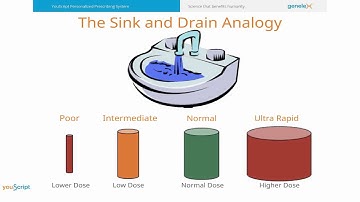 Understanding Your Results from YouScript
