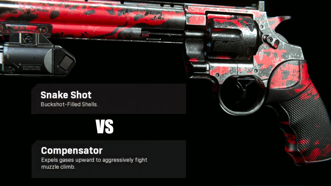 Modern Warfare & Warzone Best Akimbo .357 Class Setup (Snake Shot