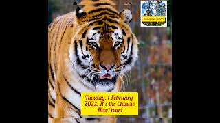 Joyeux Nouvel An Chinois!..Happy Chinese New Year!..2022..the year of Tiger (French to English) Joyeux Nouvel An Chinois!..Happy Chinese New Year!..2022..the year of Tiger (French to English)