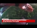 WATCH: Officer shoots at dog during chaotic fight
