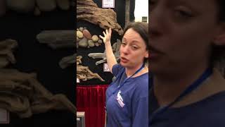 Matuska Taxidermy’s Amber Engels talks to us about habitat systems for your mounts  15   25% off in