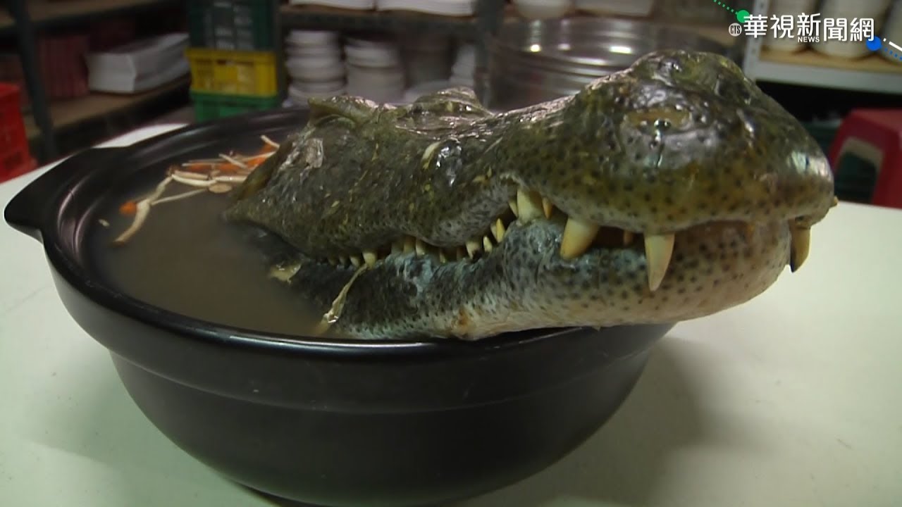 放4大吃 隱藏版美食 老饕激推 此生必吃一次的鱷魚大餐 Youtube