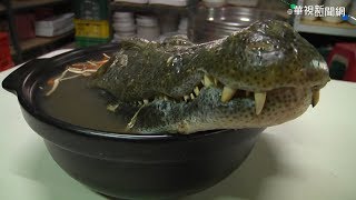 【放4大吃】隱藏版美食，老饕激推～此生必吃一次的鱷魚大餐 
