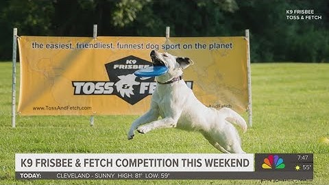 K9 Frisbee Toss & Fetch Championship preview