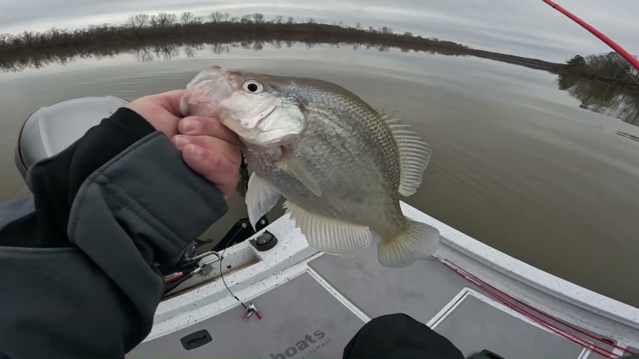 Fishing Shallow Flats for Slab Crappie (Bonus 4lb SLAB)