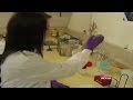 Resistance antibiotics global threat
