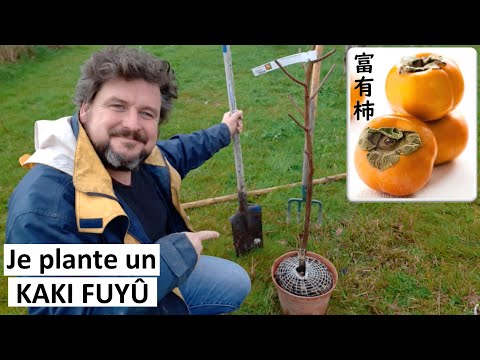 Je plante un