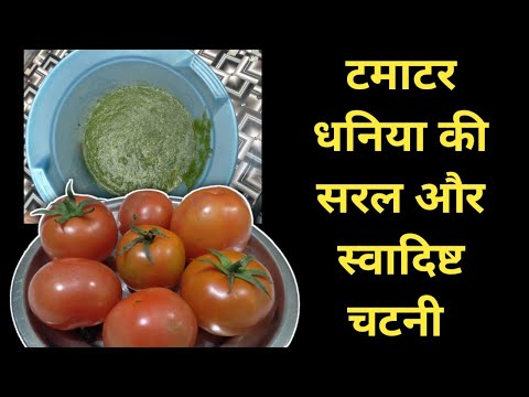 टमाटर और धनिया की सबसे सरल और स्वादिष्ट चटनी | Vlog Testy