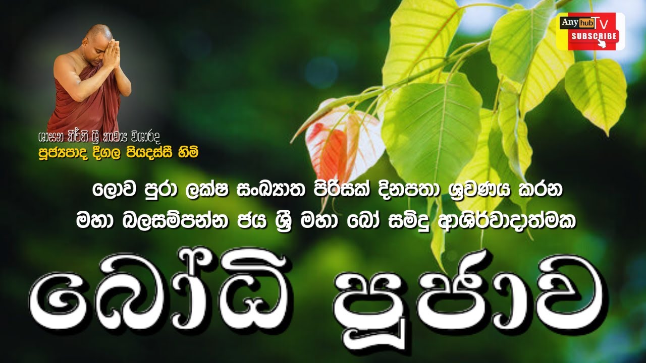 ජය ශ්‍රී මහා බෝ සමිඳුන්ගෙ ආශිර්වාදාත්මක බෝධි පූජාව | Sinhala Buddhist Bodhi Pooja Kavi| Any hub Tv