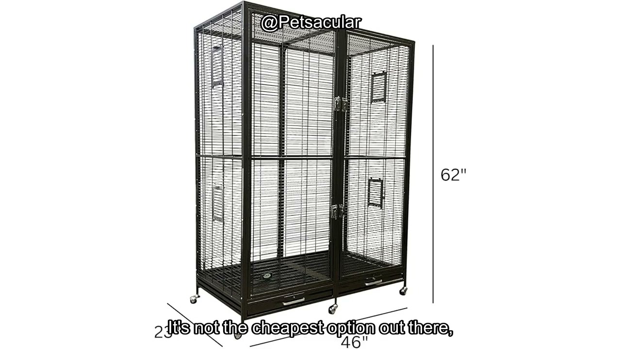 Exotic Nutrition Borneo Cage Review: Is It the Best Home for Exotic Nutrition Borneo Cage Review: Is It the Best Home for