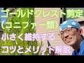 【ゴールドクレスト(コニファー)の剪定】小さく維持するのに必要な手入れのコツとメリット