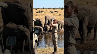 #funnyanimal #elephant #jimcorbettwildlifeandnatureview #shortsfeed #haathi #voice #cute#angrytiger